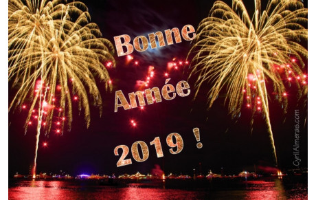  Bonne Année 2019